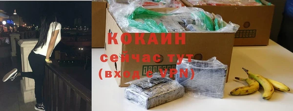 apvp Няндома