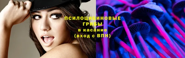 а пвп мука Новодвинск