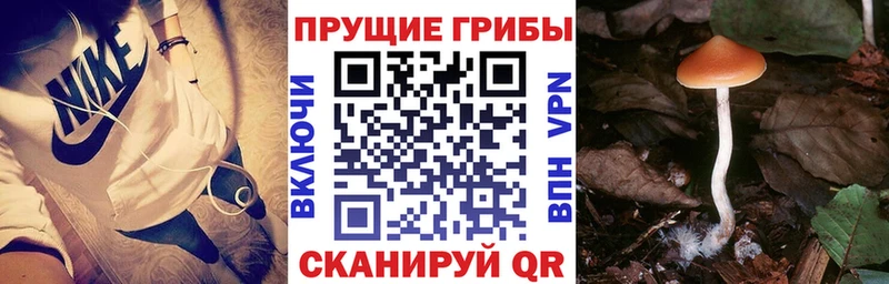Галлюциногенные грибы GOLDEN TEACHER цена Котовск