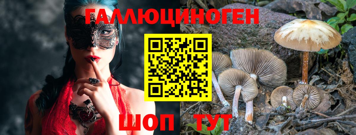 Псилоцибиновые грибы GOLDEN TEACHER  Вход с VPN  Котовск 